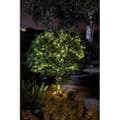 Miniatyrbild 1 av 3: LUCIOLE solcellsgirlang för utomhusbruk 200 varmvita LED-lampor - SMART GARDEN - 21,9 m