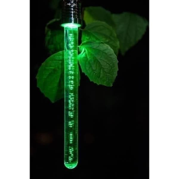 Aurinkokenkällä toimiva lyhty - GARDEN ID Crystal - 22 cm - Väriä vaihtava - 6-8 tunnin akunkesto - Ladattava akku.