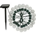 Miniatyrbild 2 av 3: Solcellsljusslinga för fest - SMART GARDEN - 20 LED-lampor - Färgskiftande - Utomhus