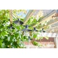 Miniatyrbillede 4 af 5: Vivo 365 20L solcelledrevne lyskæder - SMART SOLAR - 8 varme hvide LED-pærer - 365 Solar-teknologi