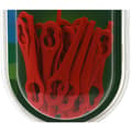 Miniatyrbild 3 av 3: Bosch Home and Garden F016800183 Ersättningsblad Set 24 st Passar till: Bosch ART 26 Accutrim