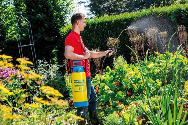 Gloria Haus und Garten 000099.0000 Prima 8 Paineruisku 8 l