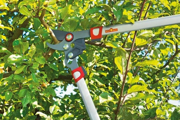 WOLF-Garten Loppers POWER CUT** RR 750 - längd 750 mm - armar av aluminium - 3x mer kraft - justerbar bladspänning