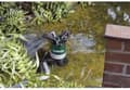 Miniatyrbillede 4 af 4: METABO Dykpumpe PS 15000 S - 850 W