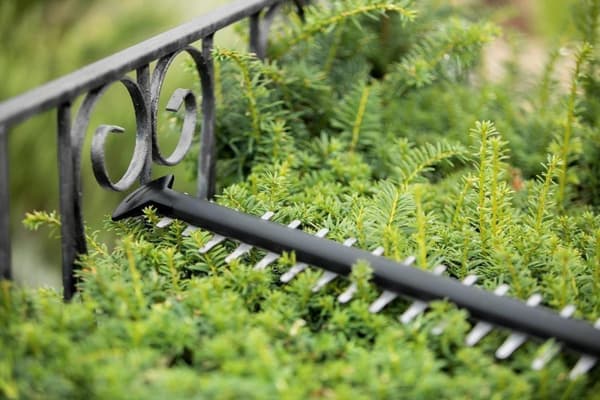 Bosch UniversalHedgeCut 18-55 Hækkeklipper - Separat krop (leveres uden batteri og oplader)