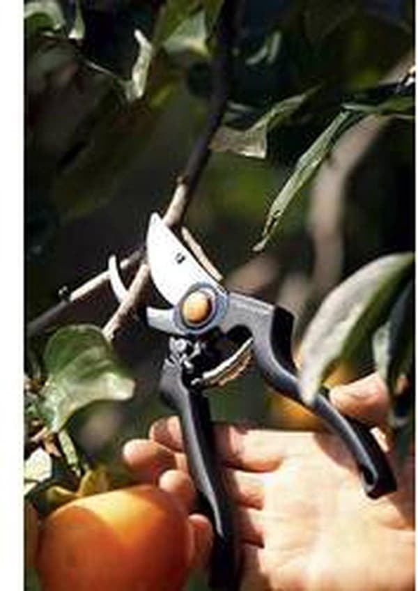 Fiskars Sakset Pro P90 - 23 cm