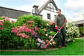 Miniatyrbild 3 av 11: Wolf-Garten Trimmer E-Multi Star - Trimmer - 25 cm