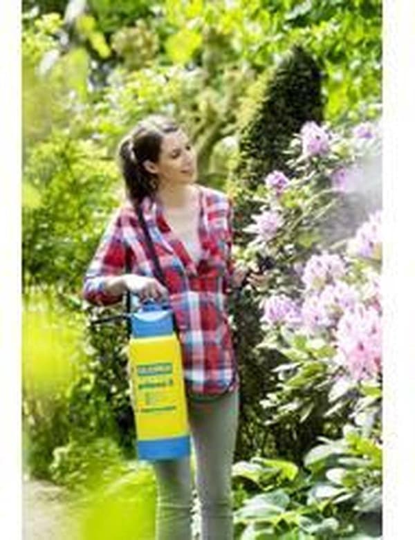 Gloria painesumutin Primex 5 - Taka- ja paineruiskut - 41x36x55,5 cm - 5 l - Keltainen Sininen