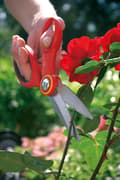 Miniatyrbillede 3 af 4: WOLF-Garten Comfort Havesaks RA-X - universalklipper - hjem og have - universel brug