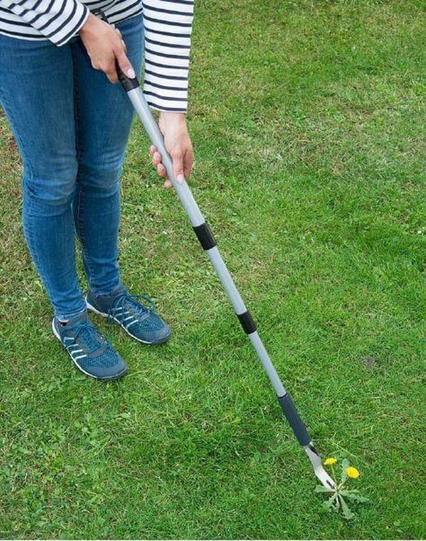 Weeder teleskooppikahvalla 146cm