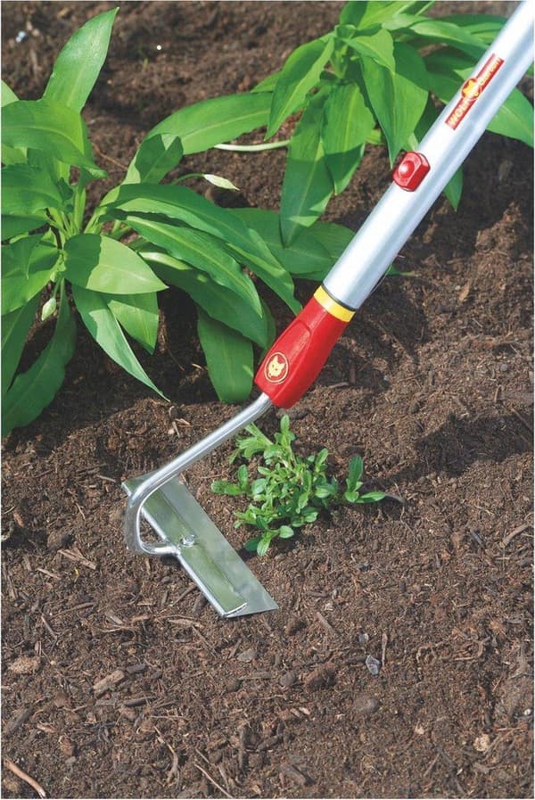 WOLF-Garten MultiStar® HU-M 15 - Klack - 15 cm