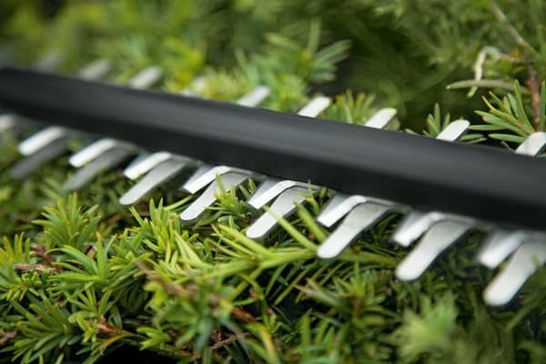 Bosch UniversalHedgeCut 18-55 Hækkeklipper - Med 1x 18 V batteri og oplader