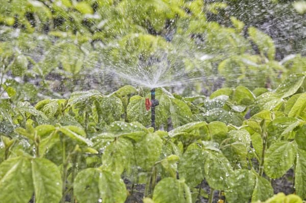 Gardena MDS Spray Nozzle 360° pyöreä sprinkleri muovinen musta (13322-20)