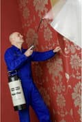 Pikkukuva 2 / 7: GLORIA Sprayer PaintPro 5l (000105.0000)