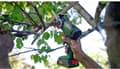 Miniatyrbild 9 av 9: Bosch 06033D5200 trädgårdssåg utan batteri (06033D5200)