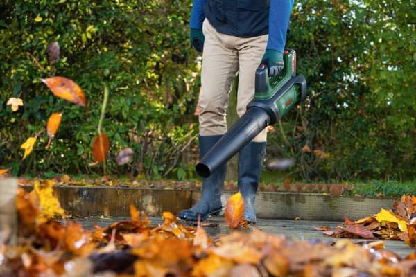 Bosch Advanced LeafBlower 36V-750 - lehtipuhallin - johdoton ilman akkua, ilman laturia - 750 m/h. - 100-200 km/h - 2,8 kg (06008C6001)