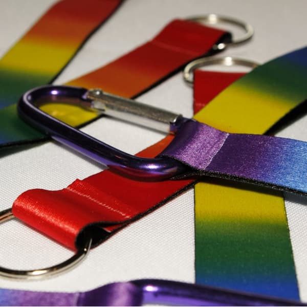 Rainbow light HBT kort koppel med bygel