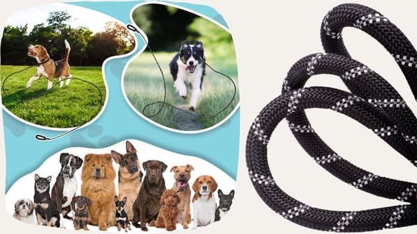 Hundetræningsline stærk lang tyk 10m