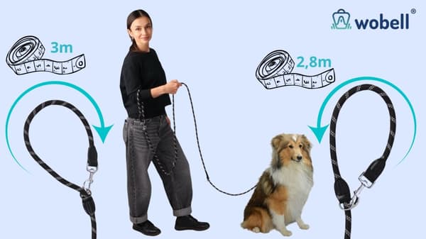 Hundetræningsline stærk lang tyk 10m