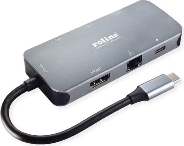 ROLINE USB 3.2 Gen 2 Type C Multiport Docking Station, 4K HDMI, LAN (12.02.1121)
