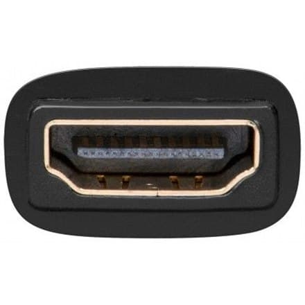 Goobay videoadapter | 24+1 pin digital DVI | Mand | 19 ben HDMI Type A | Kvinde