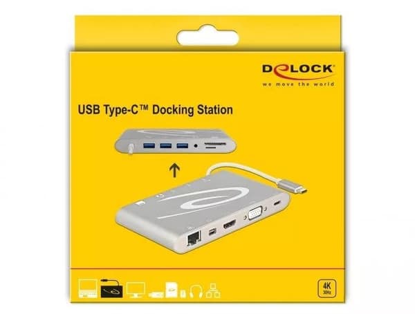 DeLOCK 87298 USB Type-C 3.1 Docking Station 4K, silver-grey