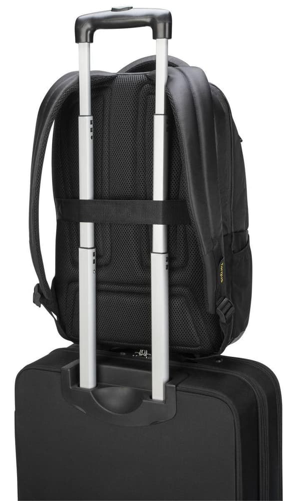 Targus Citygear Laptop Ryggsäck - Ryggsäck För Notebook - 12 - 14 - Svart