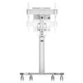 Miniatyrbillede 4 af 10: Neomounts Tv Stativ Med Hjul Select Mobile Displaycbnt 75´´ Søvfarvet
