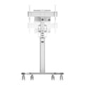 Miniatyrbillede 1 af 10: Neomounts Tv Stativ Med Hjul Select Mobile Displaycbnt 75´´ Søvfarvet