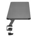 Miniatyrbillede 4 af 5: Phoenix Technologies Skærmholder Riser Pro 100x26 Cm