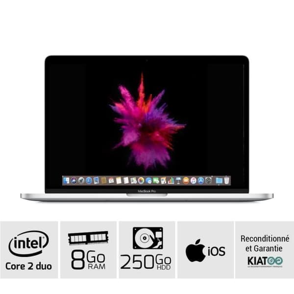 Apple - MacBook Pro 13 Grey A1278 - Laptop - Intel Core 2 Duo - 8 GB RAM - 250 GB HDD-lagring - AZERTY - Renoverad- USED