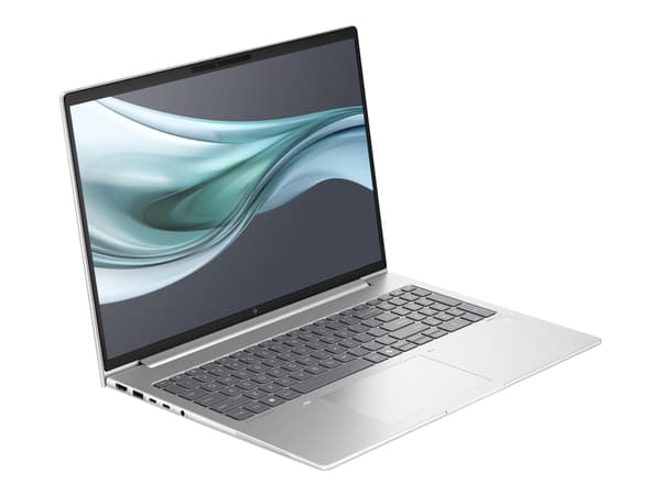 HP EliteBook 660 G11 Notebook - Intel Core Ultra 7 - 155U / inntil 4.8 GHz - Win 11 Pro - Intel Graphics - 16 GB RAM - 512 GB SSD NVMe - 16" IPS 1920