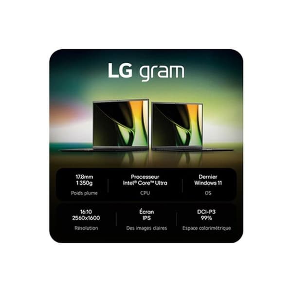 LG LG Gram 17Z90S 17" WQXGA IN