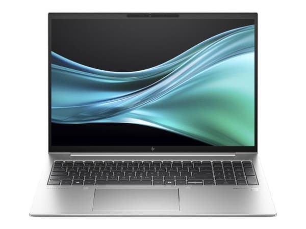 HP EliteBook 865 G11 Laptop