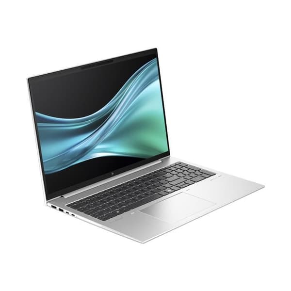 HP EliteBook 865 G11 Laptop
