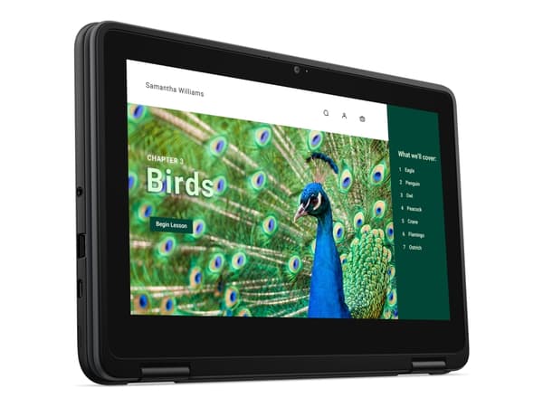 DELL Chromebook 3120, Intel® N, 29.5 cm (11.6"), 1366 x 768 pixels, 8 GB, 64 GB, ChromeOS