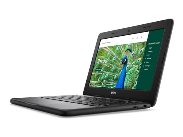 DELL Chromebook 3120, Intel® N, 29.5 cm (11.6"), 1366 x 768 pixels, 8 GB, 64 GB, ChromeOS