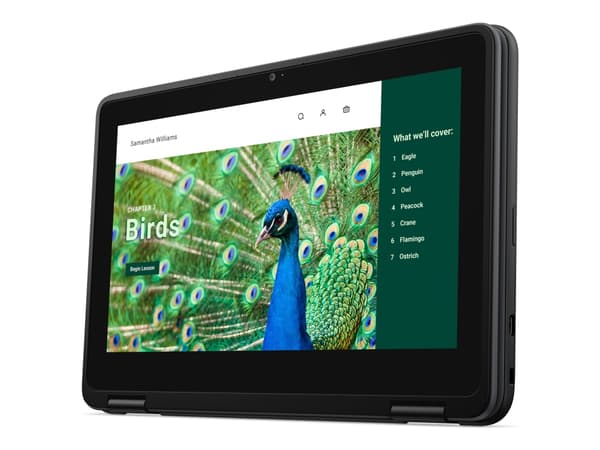 Dell Chromebook 3120 (2024) - Intel N-series - N100 / inntil 3.4 GHz - Chrome OS - UHD Graphics - 8 GB RAM - 64 GB eMMC - 11.6" TN 1366 x 768 (HD) - Sort
