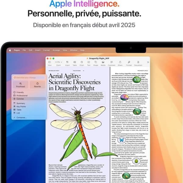 Apple - 13,6" MacBook Air M4 (2025) - 24 GB RAM - 512 GB lagerplads - 10-core CPU - 10-core GPU - Midnat