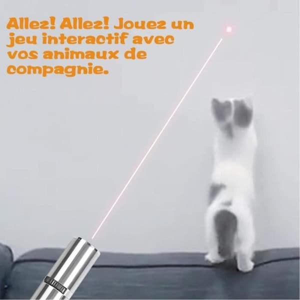 Interactive Cat Toy - Uppladdningsbar LED Pointer Dog Cat Toy för träning