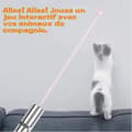 Miniatyrbild 4 av 4: Interactive Cat Toy - Uppladdningsbar LED Pointer Dog Cat Toy för träning