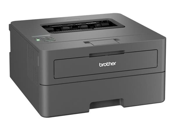 Brother HL-L2445DW - Skrivare - svartvit - Duplex - laser - A4/Legal - 1200 x 1200 dpi - upp till 32 sidor/minut - kapacitet: 250 ark - USB 2.0, LAN,