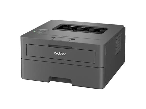 Brother HL-L2445DW - Skrivare - svartvit - Duplex - laser - A4/Legal - 1200 x 1200 dpi - upp till 32 sidor/minut - kapacitet: 250 ark - USB 2.0, LAN,
