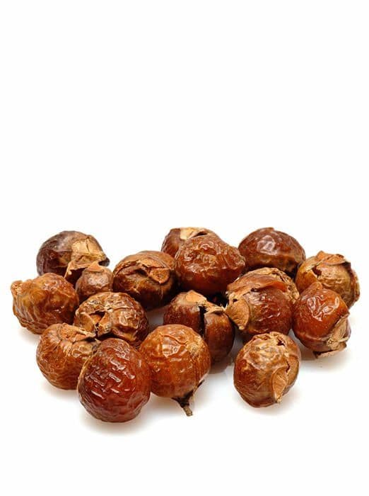 Tvättboll - Alepia tvålnötter - NOIXLAVBIO1KG-1 kg - Ekologiska tvålnötter