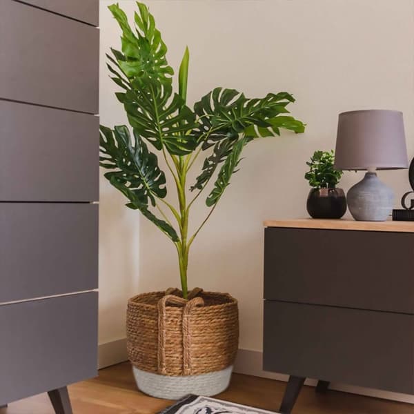 Sæt 2 naturlige kurve BOHO YT21B-34