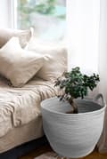 Miniatyrbild 7 av 11: Set 3 naturliga korgar BOHO YT21B-35