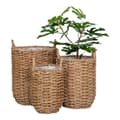Miniatyrbillede 3 af 4: Planter, Kurve, 20x28 cm/26x32 cm/31x37 cm, Naturfarvet