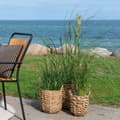 Miniatyrbillede 4 af 4: Planter, Kurve, 20x28 cm/26x32 cm/31x37 cm, Naturfarvet