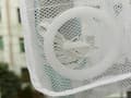 Miniatyrbillede 4 af 10: Tvättpåse för Skor