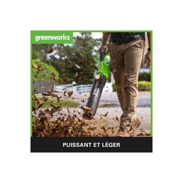 Greenworks GD40AB Trådlös Axial Bladblåsare, Hastighetsregulator, 210kmh, 15,6 m³min, Turbo-funktion